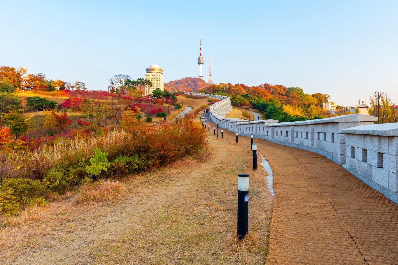 紅葉 ソウル