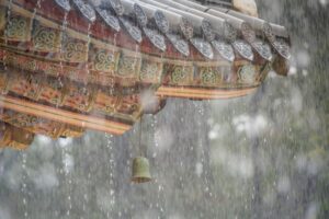 雨