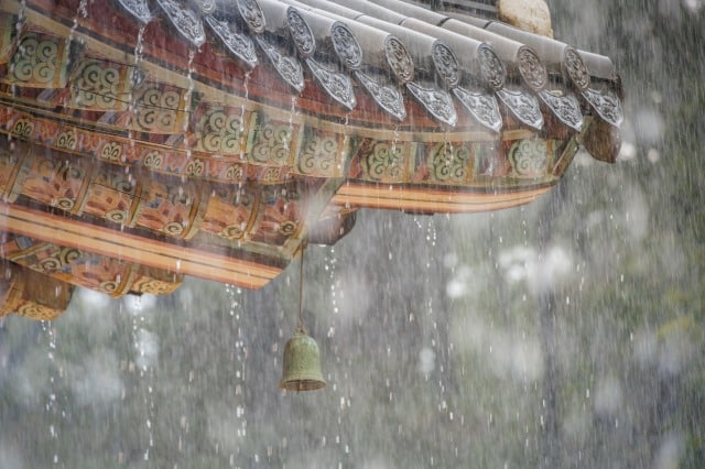 雨