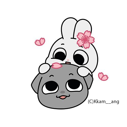 (C)Kkam__ang