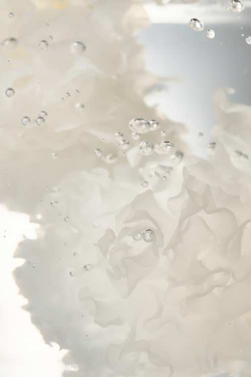 속깊은（Deep Dive）シリーズ